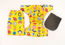 Load image into Gallery viewer, Toon Face Reusable Nappy Set